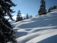 snowscape