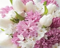 Ramillete rosa y blanco