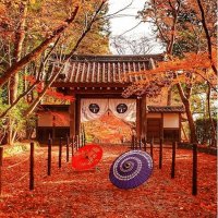 Kyoto-Japón