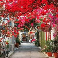 Nafplio-Peloponeso(Grecia)
