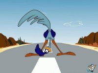 looney