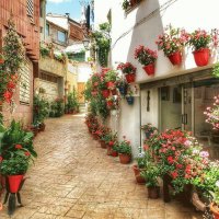 Cornudella de Montsant-Tarragona