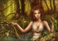 ninfa