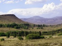 A la vera de la RN 40. Neuquén. Argentina