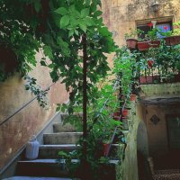 Patio en Sicilia