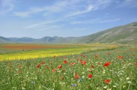 paisajes de primavera