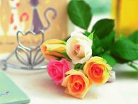 flores - rosas