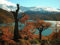 En El Chaltén. Patagonia Argentina
