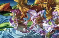 flor