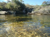 outra de delfinopolis