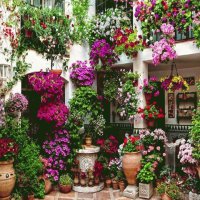 Cordoba-España