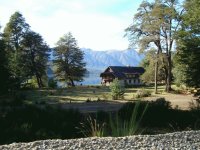 En el Camino de los 7 Lagos. Neuquén. Argentina