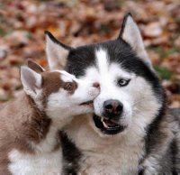 Lindos