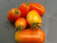 Tomatoes