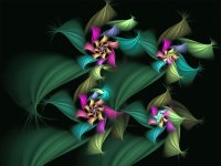 Flores