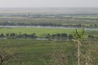 Floresta Amazônica