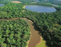 Pantanal na Região Centro-Oeste