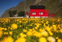 MONA.Noruega