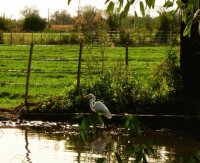 En San Javier. Córdoba. Argentina