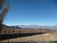 Cafayate