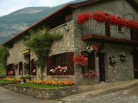 casas con flores