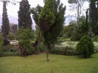 Museo el Castillo Medellin 2