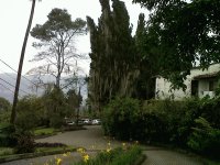 Museo el Castillo Medellin 7