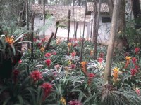 orquidiario-Parque Nacional Iguazú