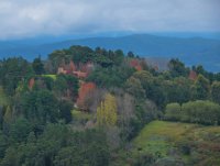 Cerro San Javier. Tucumán. Argentina