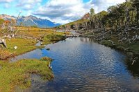 Valle de los Lobos. Tierra del Fuego. Argentina