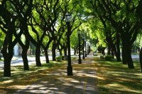 En Villa Elisa. Entre Ríos. Argentina