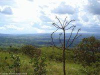 Parque Nacional das Emas