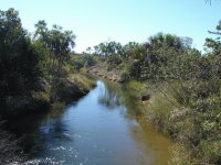 Parque Nacional Grande Sertão Veredas