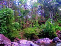 Parque Nacional de Itatiaia