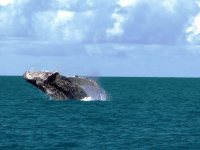 Parque Nacional Marinho dos Abrolhos