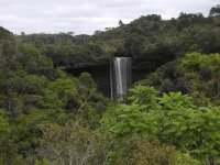 Parque Nacional do Pau Brasil