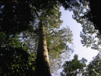 Parque Nacional e Histórico do Monte Pascoal