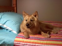 Baylee