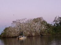 Parque Nacional do Pantanal Matogrossense