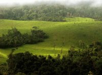 Parque Nacional da Amazônia