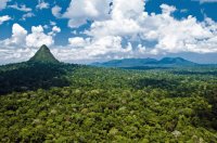 Parque Nacional da Serra do Divisor