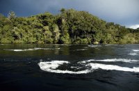 Parque Nacional do Jaú
