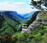 Parque Nacional da Serra do Divisor