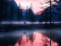 paisagem