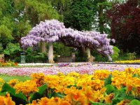 jardim
