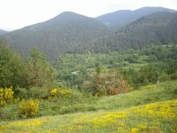Hípica El Pas, al pie de Los Pirineos