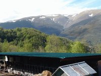 Una Hípica de montaña en Planoles