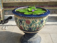 Bowl, Bangkok, Thailand