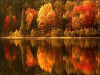 autumn symphony