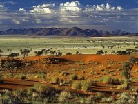 deserto